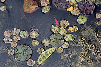 《夺宝奇兵：古老之圈》DLC遇冷被批：售价高内容少Steam褒贬不一！